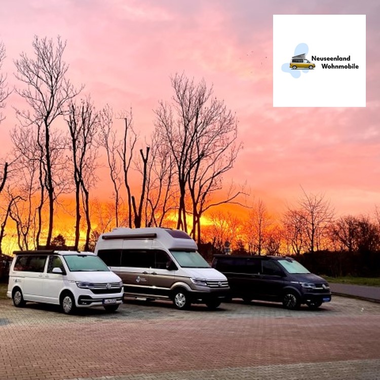 VW California Service