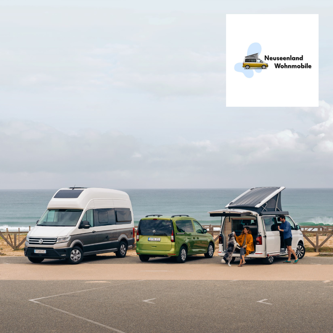 VW California Service