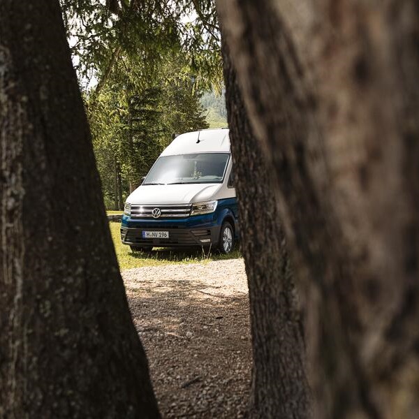 VW Grand California guckt zwischen zwei Bäumen durch